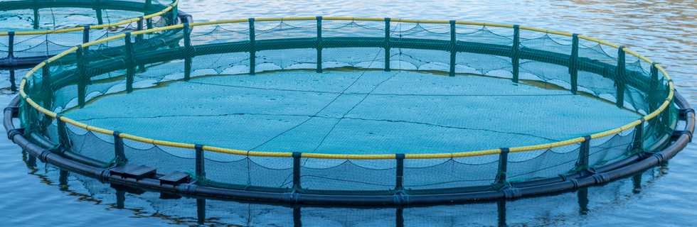 src=/ar/Images/Aquaculture_tcm12-24924.jpg