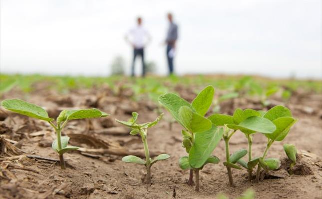 Field with people in the background