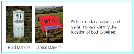 Field and Areal Markers