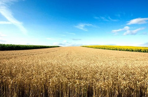 SABIC AGRI-NUTRIENTS SABIC AGRI-NUTRIENTS