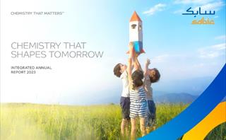 Integrated Annual Report 2024 - PDF