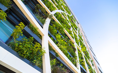 Architecture greener future Architecture greener future