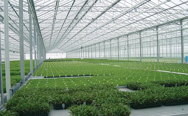 SABIC Greenhouses SABIC Greenhouses