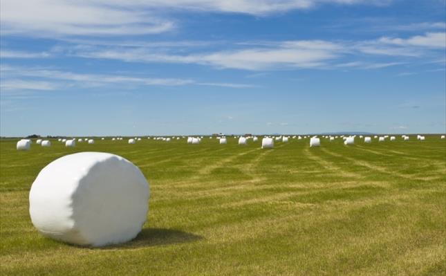 Silage Wrap Film Silage Wrap Film