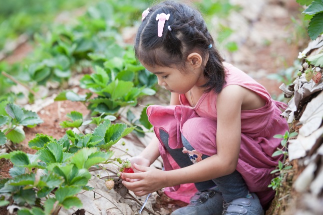 SABIC launches sustainable development goals roadmap underlining global priorities.