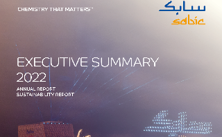 Combined Report 2022 Executive Summary - PDF