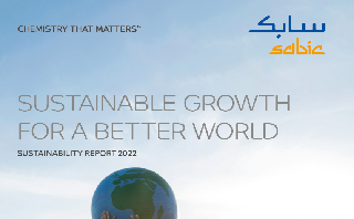Sustainability Report 2022 - PDF