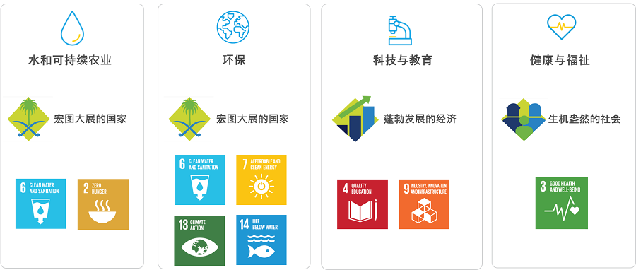 Priority Focus Areas Priority Focus Areas